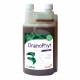 Drainophyt