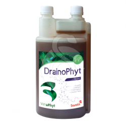 Drainophyt