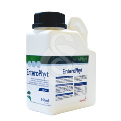 Enterophyt