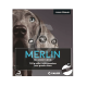 Merlin Collier Grand Chien