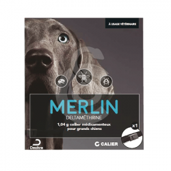 Merlin Collier Grand Chien