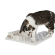MATERIEL Jouet chat éducatif : Plateau Fun Board