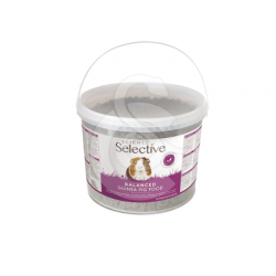Selective Guinea Pig Cochon d'Inde