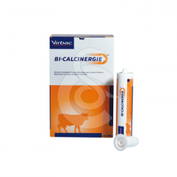BiCalcinergie