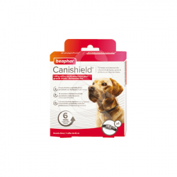 Canishield Collier Grand chien