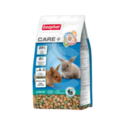 Care  Lapin Junior
