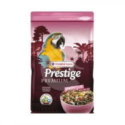 Premium Perroquets