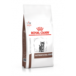 Cat Gastro Intestinal Kitten