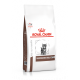 Cat Gastro Intestinal Kitten