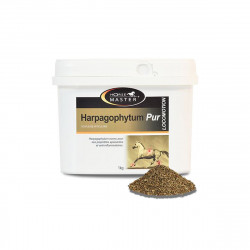 HARPAGOPHYTUM 1KG