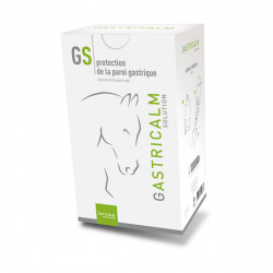 LENCARE GASTRICALM NF 480 ML