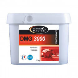 DMG 3000 POT 1.3KG