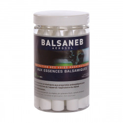 BALSANEB Aérosol 14 unidoses