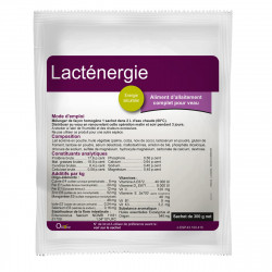 LACTENERGIE 300 G X 10 SACHETS