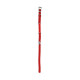 COLLIER CHAT ELASTIQUE  ROUGE