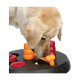 JOUET CHIEN FLIP BOARD