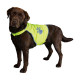 MATERIEL Gilet de sécurité pour chien