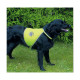 MATERIEL Gilet de sécurité pour chien
