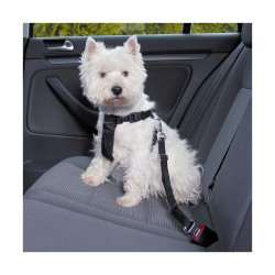 HARNAIS SECURITE AUTO S