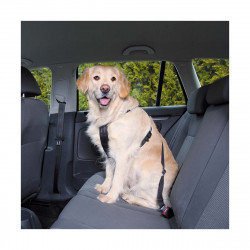 HARNAIS SECURITE AUTO M