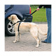 HARNAIS SECURITE AUTO M