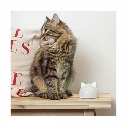 HUB SUREFLAP CONNECT