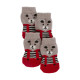 CHAUSSETTES CHIEN BRUNO S