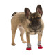 CHAUSSETTES CHIEN BRUNO S