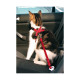MATERIEL Harnais de sécurité voiture pour chat