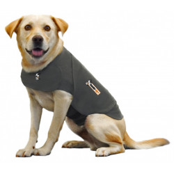 Thundershirt