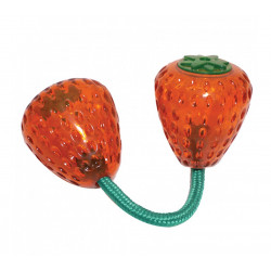 Jouet Biosafe