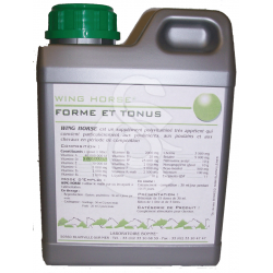 SENNECQ BONNE Wing Horse