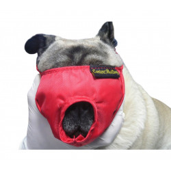 Muselière de contention chien