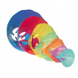 Collier Carcan Transcol