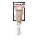 Peluche Grumpy cat  Chat