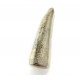 Friandise en bois de cerf