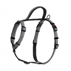 Harnais Halti anti traction