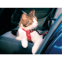 MATERIEL Harnais de sécurité voiture pour chat