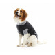 Buster Body Suit