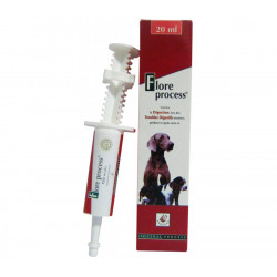 Flore Process Chien
