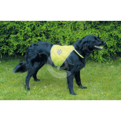 MATERIEL Gilet de sécurité pour chien