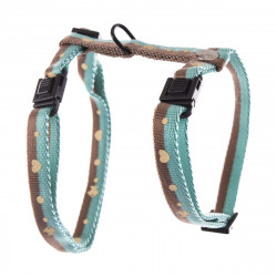 HARNAIS CHAT BULLES BICOLORE