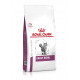 Cat Early Renal