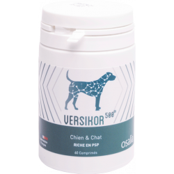 Versikor 500 - 60  comprimés