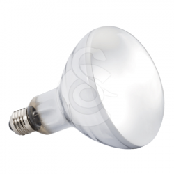 Ampoule Solar Glo UVAUVB pour reptiles