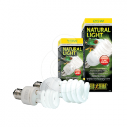 Ampoule Repti Glo 20  Natural Light