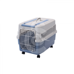 Cage Kim sur roulettes
