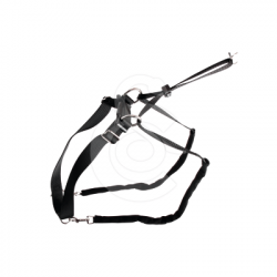 Collier éducation Maxi Leader