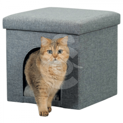 Cube Alois