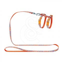 Ensemble harnaislaisse chat Hunter